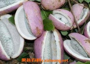 恩施最新吃瓜事件视频,视频揭秘惊人真相！