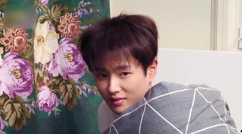 刘以豪现场吃瓜视频,趣味瞬间引网友热议