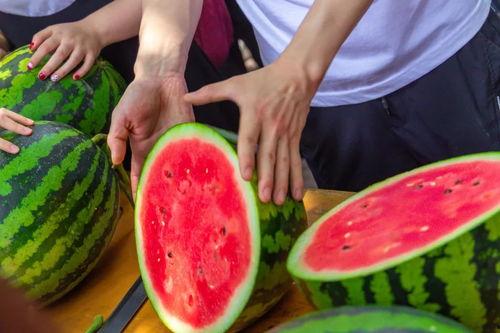 襄阳今日吃瓜事件视频,一场网络热议背后的真相揭秘