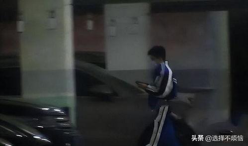 河南近期吃瓜新闻视频大全,河南近期吃瓜新闻视频大盘点